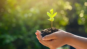 Bakan Selçuk'tan öğretmenlere fidan dikme çağrısı