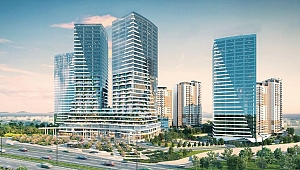 Ev ve ofisi birleştirdi