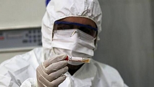 Hollanda'da günlük vaka sayısında rekor kırıldı