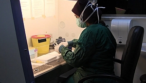 Çin'den gelen koronavirüs aşısında aşında yeni gelişme: Türkiye'de ilk kez vatandaşlar üzerinde denenecek