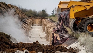Danimarka vizonları mezardan çıkaracak