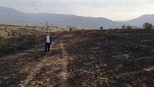 Elazığ'daki yangında 500 dönüm alan zarar gördü, binlerce arı öldü