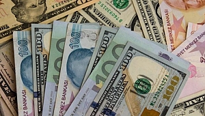 Faiz kararının ardından dolar dalgalandı