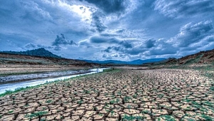 İklim değişikliği hayvanlarda hastalık riskini artırıyor