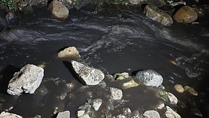 İznik Gölü’ne akan derenin suyu siyaha büründü