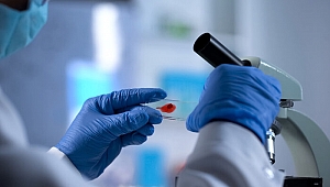 Koronavirüs ile kan grupları arasında nasıl bir ilişki var?