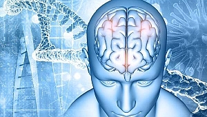 Koronavirüsün nörolojik sorunlara yol açtığı ortaya çıktı