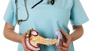 Pankreas nedir, vücudun neresi? Pankreas iltihabı ne anlama geliyor?