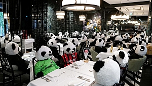 Restoranında oyuncak pandaları müşteri gibi ağırladı