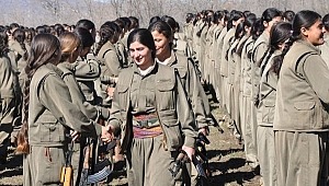 Zozan kod adlı M.A. HDP'nin yaptığı hainliktir