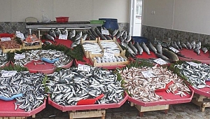 Balıkçı komşu balıkçıyı soydu