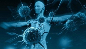 Biyolojinin kutsal kâsesini buldular