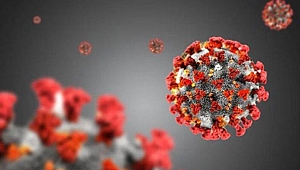 Çin medyası, Alman bilim insanının Kovid-19'un kaynağına ilişkin ifadelerini çarpıttı