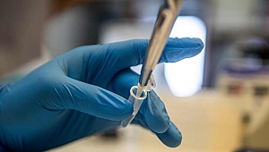 Kanada'da 2021 Eylül ayına kadar isteyen herkesin aşılanacağı açıklandı