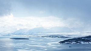 Koronavirüsün ulaşamadığı tek kıta Antarktika'dan kötü haber