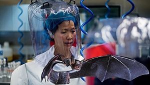 Wuhan'daki koronavirüs laboratuvarının başındaki isim Prof. Shi: Ziyarete açığız!