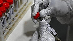 AstraZeneca - Oxford tarafından geliştirilen koronavirüs aşısı piyasaya çıkıyor!