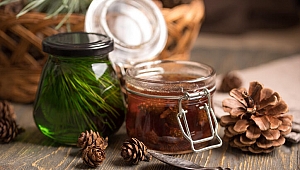 Çam Balının Faydaları Nelerdir? Neye İyi Gelir? Çam Balı Ne İşe Yarar? Çam Balının Az Bilinen Faydaları