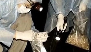 Çinli bilim insanından kritik itiraf: İğne gibi geçti