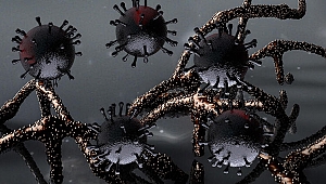 İlk kez görüldü! Aynı anda iki farklı Kovid-19 mutasyonu