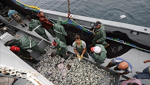 Tarım ve Orman Bakanlığı duyurdu! Hamside av yasağı uzatıldı