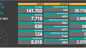 1 Şubat koronavirüs tablosu! Vaka, Hasta, ölü sayısı