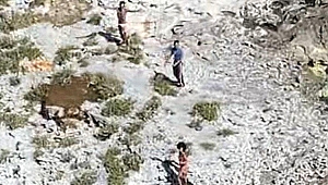 33 gün adada mahsur kaldılar