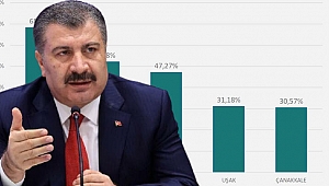 Bakan Koca, vaka sayısı en çok artan illeri açıkladı