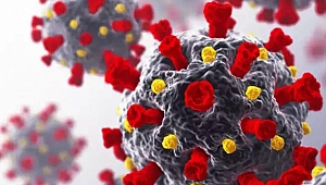 BioNTech aşısında flaş gelişme: Güney Afrika mutasyonu karşısında çok daha az etkili!