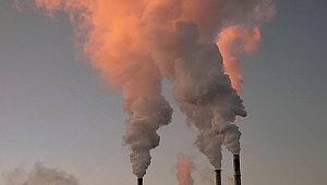 Görünmez katil! Dünyadaki her 5 ölümden 1'ine fosil yakıt kaynaklı hava kirliliği neden oldu