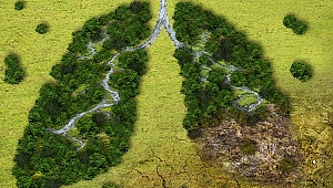 John Kerry'den iklim krizi uyarısı: Sadece 9 yıl kaldı!