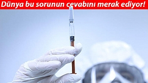 Koronavirüs insanlara nasıl bulaştı? DSÖ sözcüsü ‘4 ihtimal var’ diyerek açıkladı!