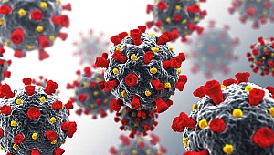 Tunus'ta yerel koronavirüs mutasyonu ortaya çıktı!
