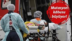 Brezilya'da mutasyon etkisi: Can kaybında korkutan rekor!