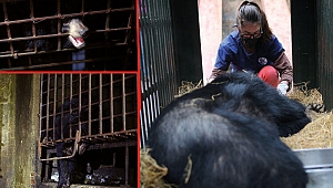 Korkunç şartlarda insanlık dışı muamele gördüler! 17 yıl sonra gün ışığına kavuştular