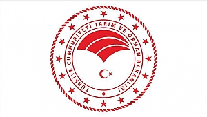 Tabiat Parkı uygulama projeleri yaptırılması hizmeti alınacaktır