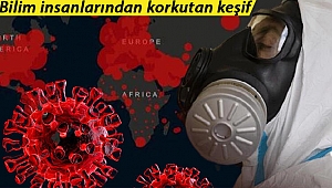 Bilim insanlarından korkutan keşif: Keşfedilmemiş 1.7 milyon virüs var!