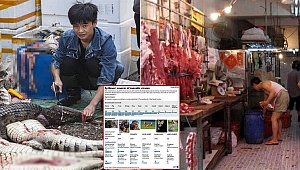 DSÖ'den salgın uyarısı! 'Canlı hayvan pazarlarını kapatın'