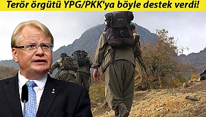 İsveç Savunma Bakanı Hultqvist'ten terör örgütü YPG/PKK'ya destek
