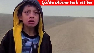 Meksika sınırında çocuk dramı: Çölde ölüme terk ettiler