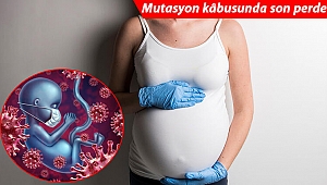 Mutasyon kâbusunda son perde! Brezilya'da 'Hamilelik planlarınızı erteleyin' çağrısı