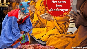 Tayland'da akılalmaz olay: Giyotinle kendi kafasını kesti!