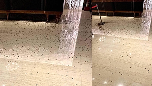 Böylesi görülmedi! Tayvan’da restorana hamam böcekli saldırı