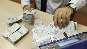 Büyük ölçekli 202 firmanın 55,6 milyar liralık borcu yeniden yapılandırıldı