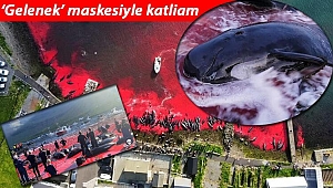 Gelenek diyorlar, her sene yapıyorlar... Bunun adı katliam!