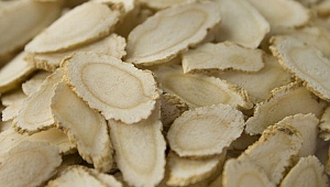 Koronavirüsten koruyan bitki: Ginseng