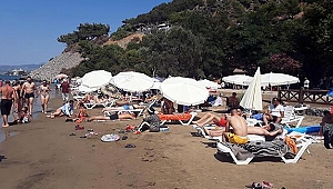 Milli parktaki fiyatlara tepki...