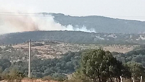 Bir yangın haberi de Balıkesir'den