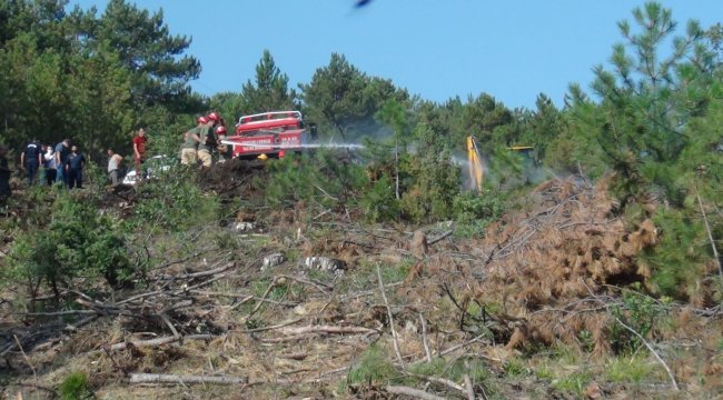 Tavşanlı'daki orman yangını erken müdahaleyle söndürüldü