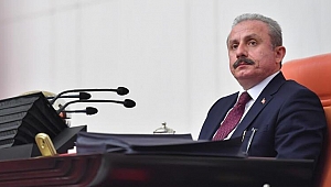 TBMM Başkanı Şentop'tan 30 Ağustos mesajı